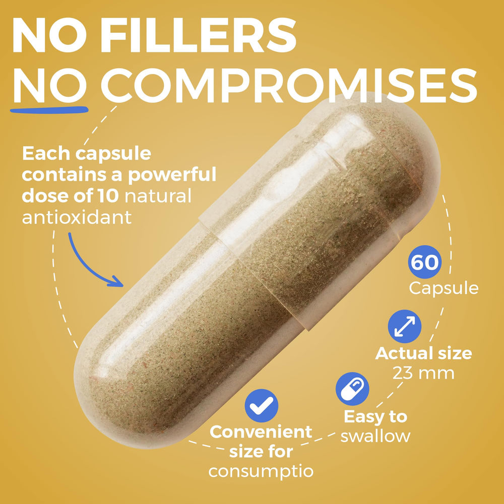 Welldiet cápsulas en mano para comparar tamaño y dosificación fácil
