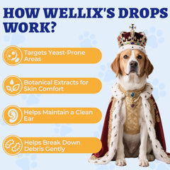 Wellix administrado con jeringa facilitando dosis precisas y controladas