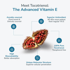 WELLNESS EXTRACT producto en cocina para uso diario con comidas