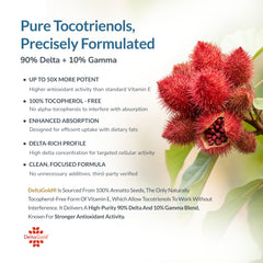 WELLNESS EXTRACT semillas de annatto fuente natural y sostenible