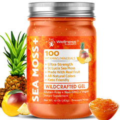 WELLNESS LABSRX frasco frontal de gel de Irish Sea Moss sabor piña-mango, práctico y natural