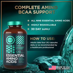 WILD FUEL diagrama de fórmula BCAA y EAAs para comprensión del aporte