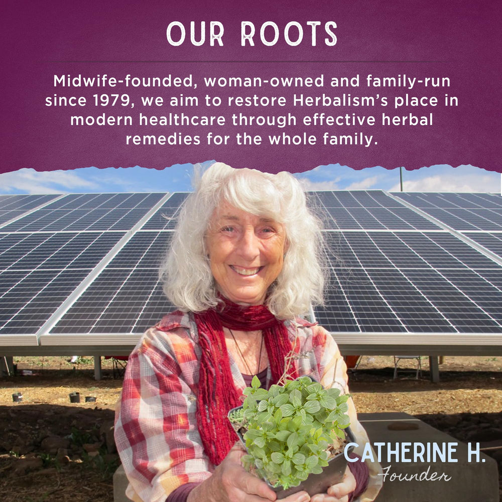 WishGarden presentacion con profesional de parto para confianza y apoyo