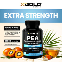 X Gold Health: primer plano del polvo micronizado que mejora absorción