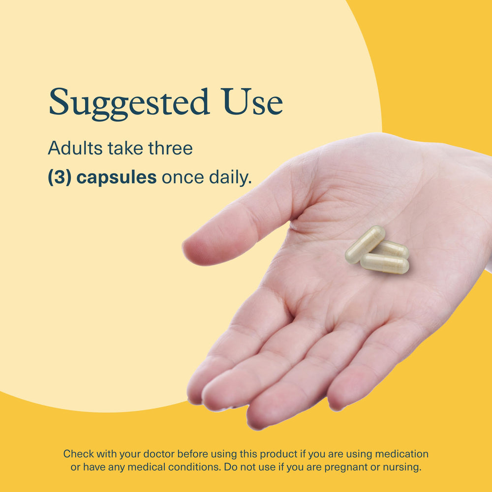 Youtheory Lion's Mane, frasco: ingredientes de calidad para la salud cerebral.