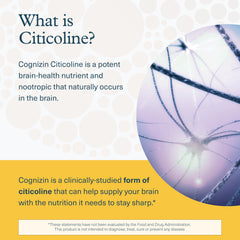 Youtheory Lion's Mane, paquete-caja: indicaciones claras y entrega segura.