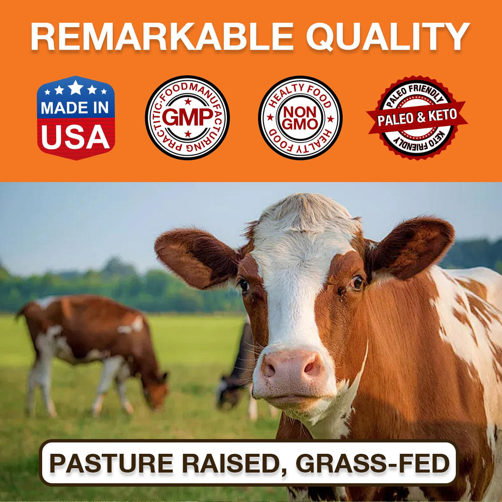 Sopa con caldo de huesos Zammex para una comida reconfortante y nutritiva