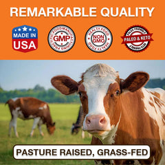 Sopa con caldo de huesos Zammex para una comida reconfortante y nutritiva