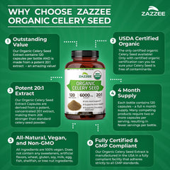 Zazzee junto a semillas y plantas orgánicas que transmiten pureza