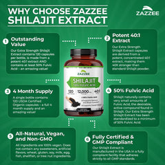 Zazzee escena de recolección en Himalaya que resalta origen auténtico