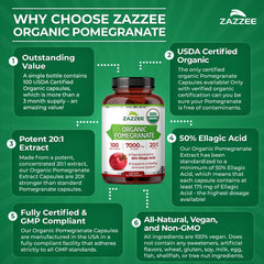 zazzee cápsulas en cocina para uso diario práctico y visible