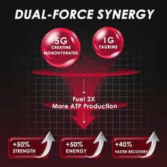 ZEBORA Creatina Monohidratada: etiqueta clara para uso seguro y eficaz.