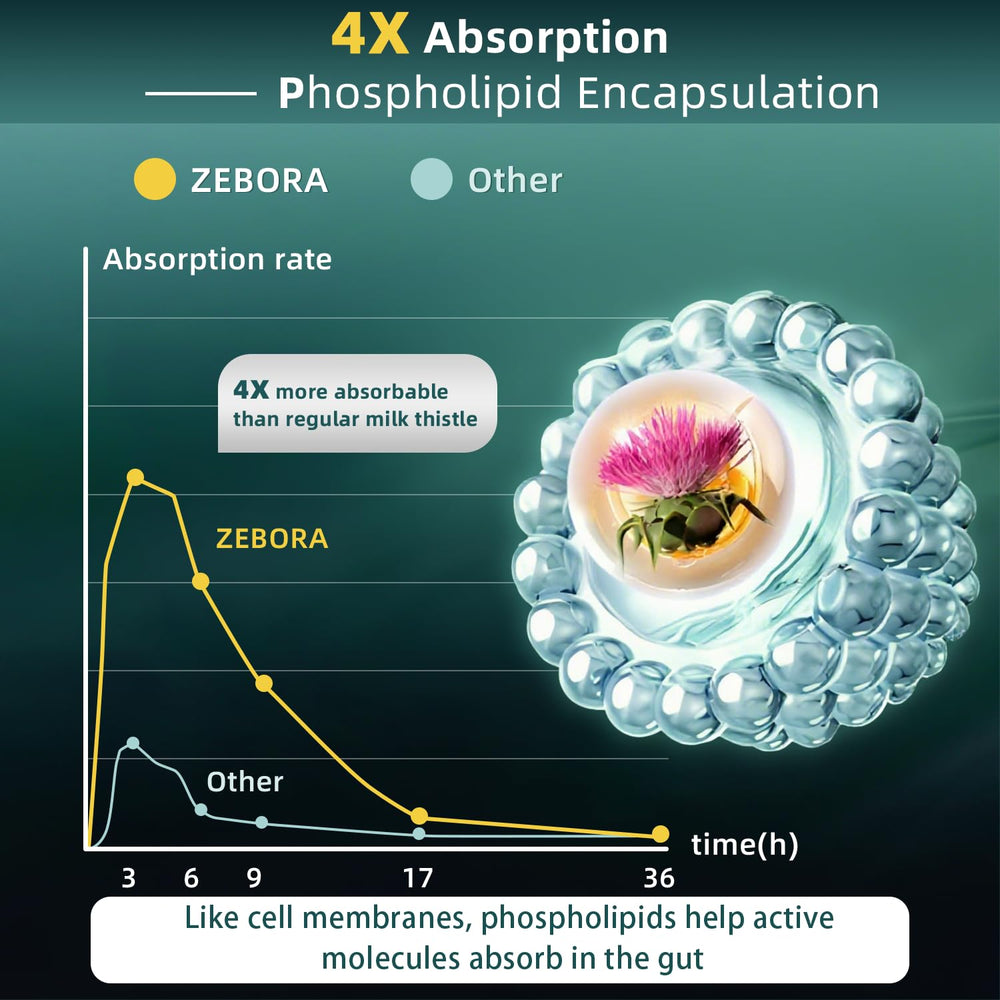 ZEBORA Diente de León y Alcachofa: combinación natural para apoyo digestivo