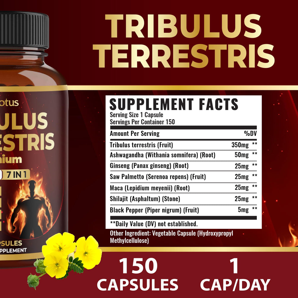 Cápsulas de Zolotus en primer plano destacando textura y recubrimiento fácil de tragar