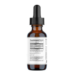 10X Health producto en escritorio ilustrando uso diario y enfoque productivo