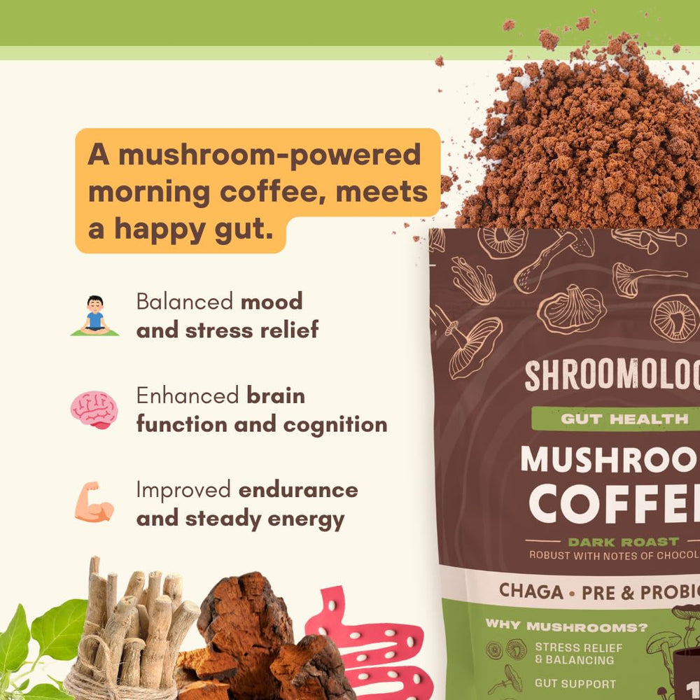 360 Nutrition etiqueta de ingredientes mostrando la mezcla de hongos y probióticos
