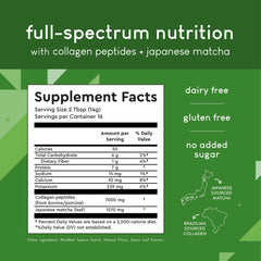 360 Nutrition polvo matcha y colágeno vista de textura y color