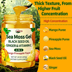 ACEYO primer plano de mango, piña, jengibre y sea moss juntos