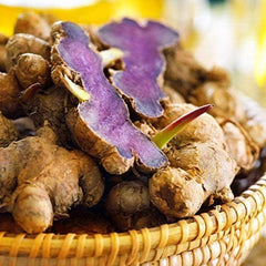 Addictive Wellness cápsula abierta mostrando contenido natural preservado