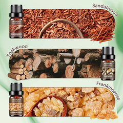 Aeshory aceite en difusor ambientando una sala con aroma persistente