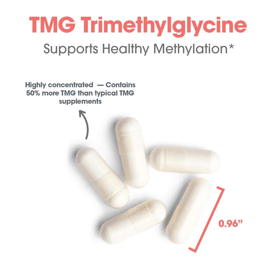 Allergy Research Group ARG TMG envase en mano para comparar tamaño y servir