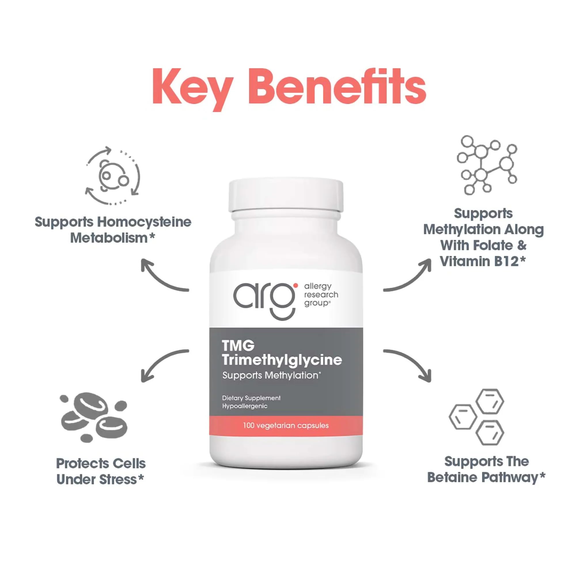 Allergy Research Group ARG TMG polvo de trimetilglicina para ver textura y calidad