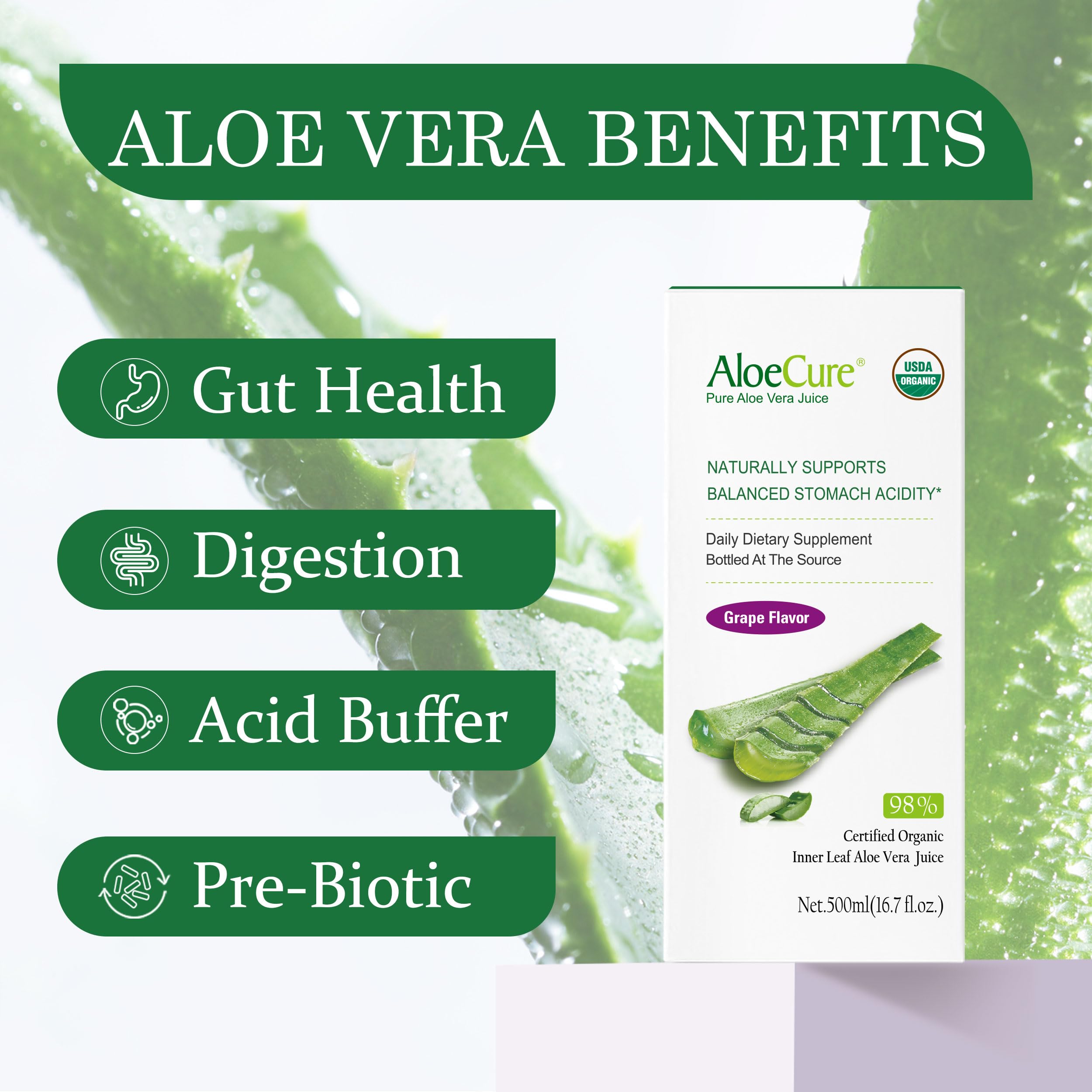 Close-up del gel interior de AloeCure mostrando pureza y frescura