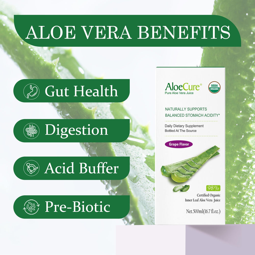 Close-up del gel interior de AloeCure mostrando pureza y frescura