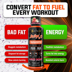ALPHA LION producto en gimnasio mostrando apoyo al ejercicio