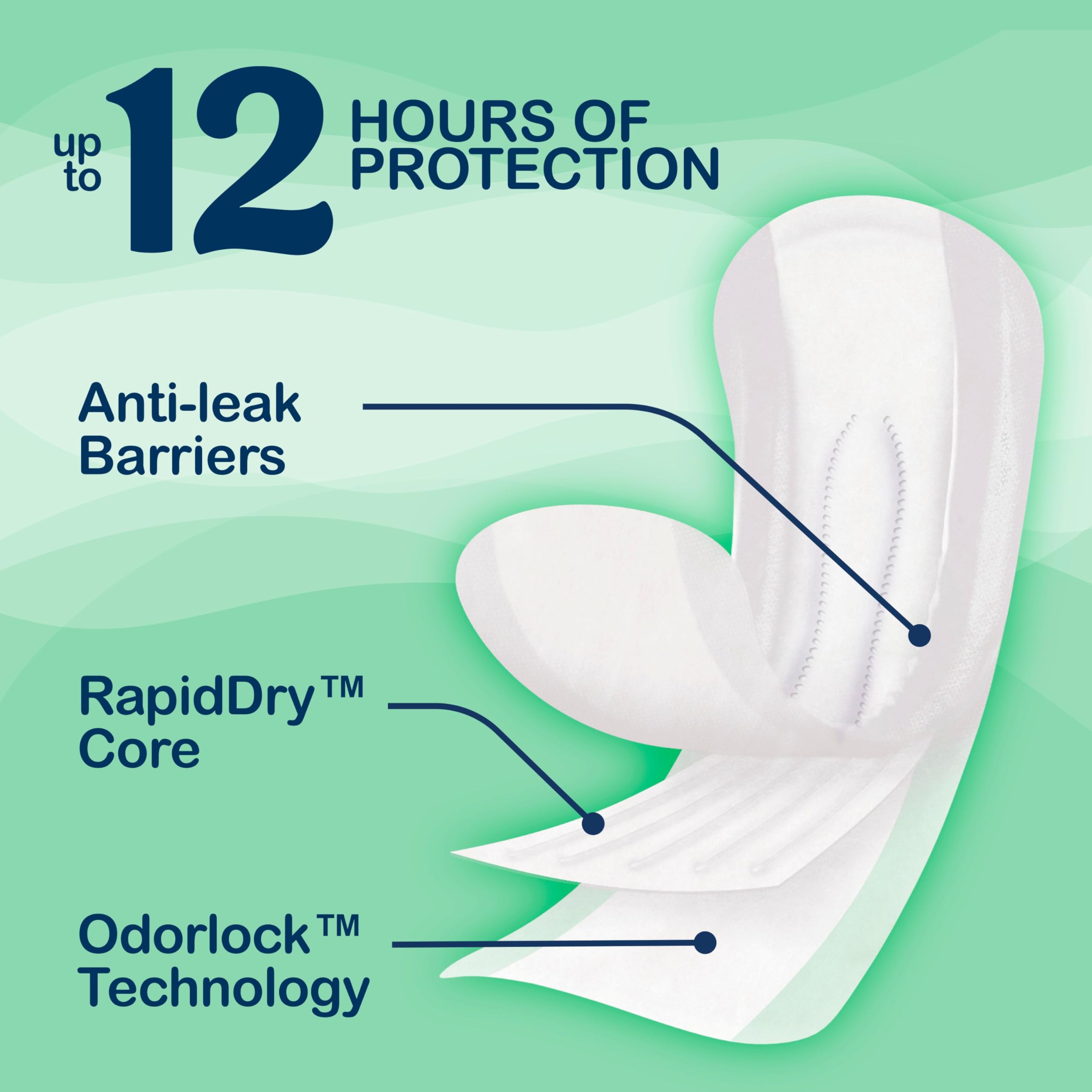 Always Discreet protector colocado en ropa interior demostrando discreción y ajuste