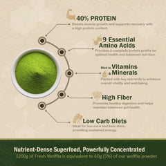 AMA GROW Wolffia mezclada en batido aportando proteína vegetal y vitaminas