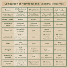 AMA GROW Wolffia, en ensalada como complemento nutritivo para comidas frescas.