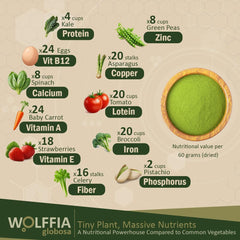 AMA GROW textura cercana de Wolffia deshidratada, útil para mezcla rápida