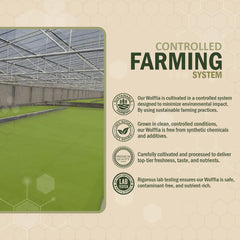 AMA GROW Wolffia, uso diario práctico para un impulso nutricional.