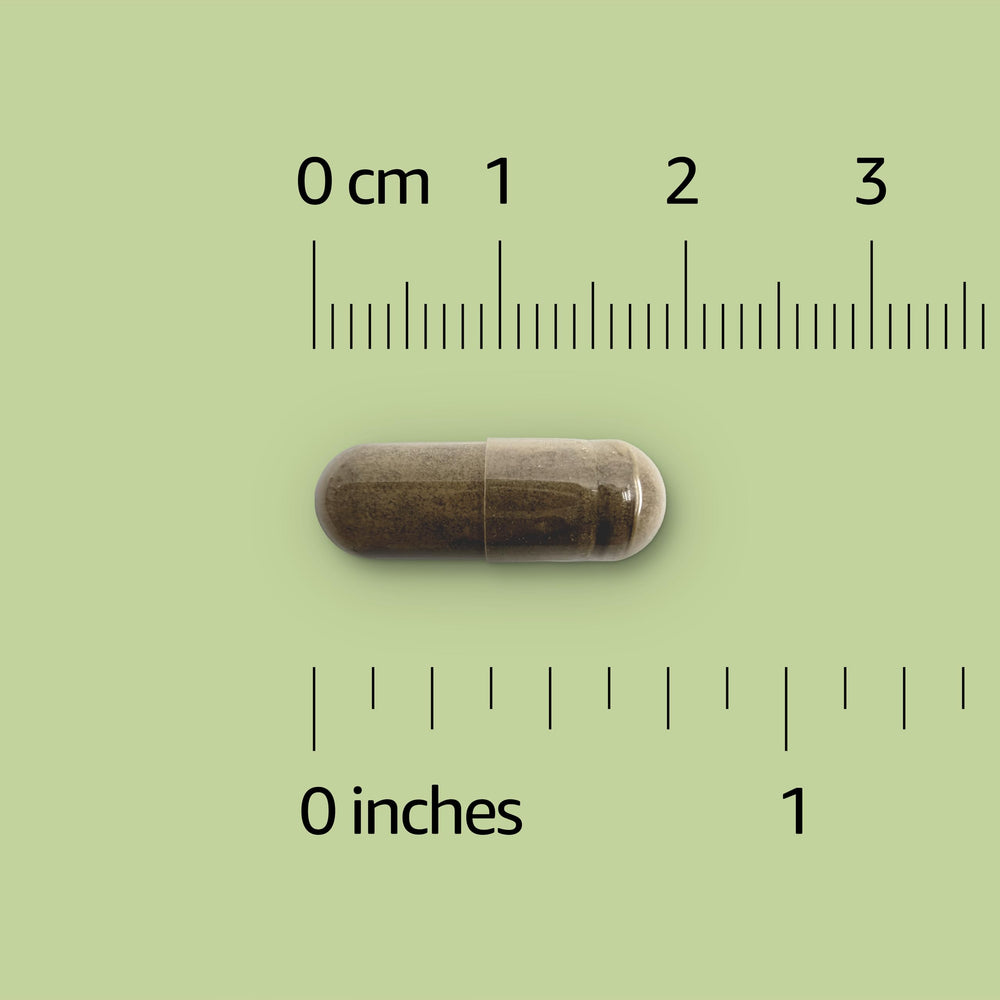 Amazon Basics primer plano de cápsula de Ginkgo Biloba, textura clara y dosificación uniforme