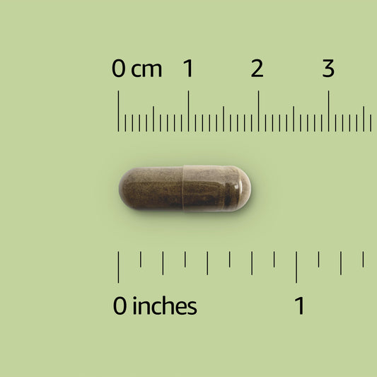 Amazon Basics primer plano de cápsula de Ginkgo Biloba, textura clara y dosificación uniforme