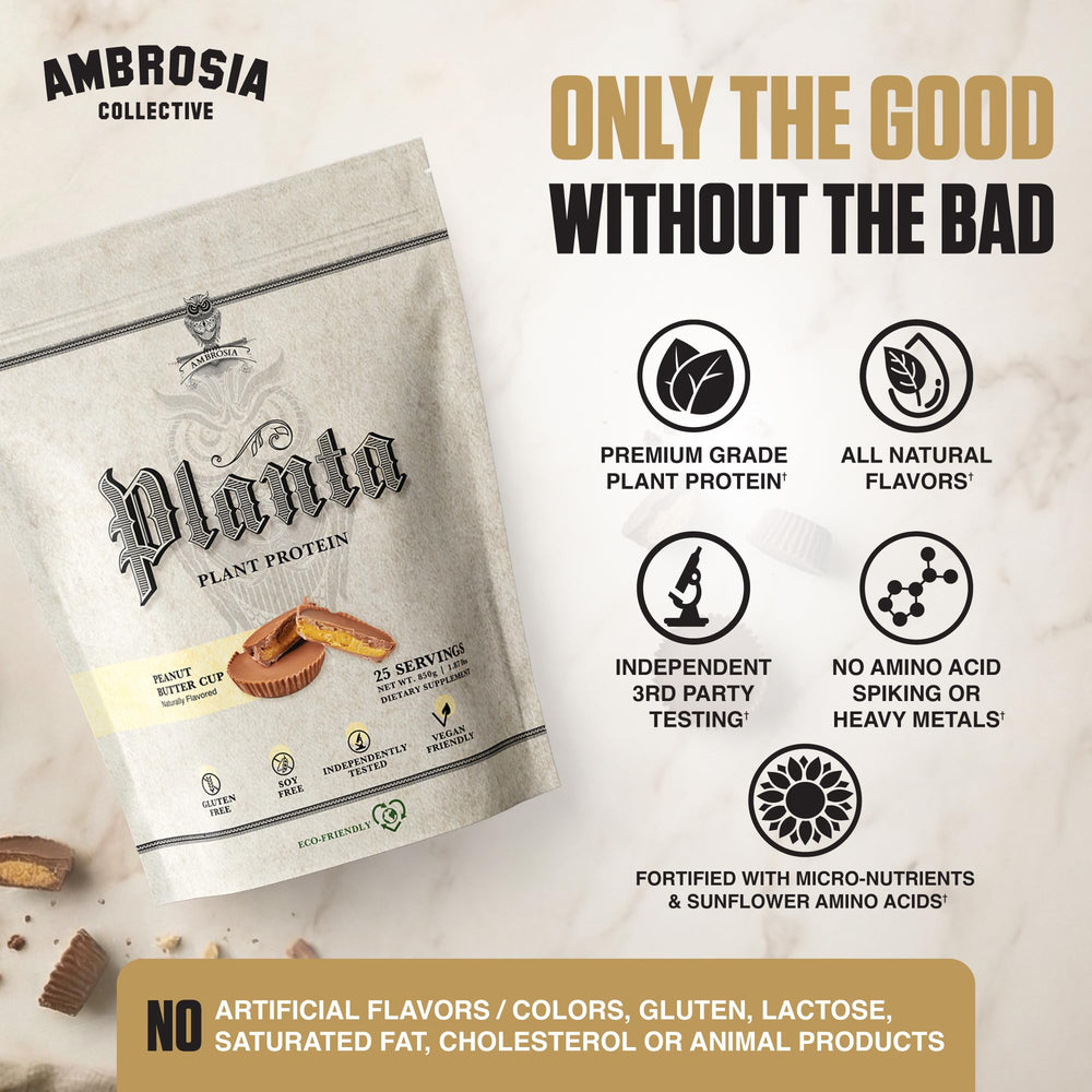Ambrosia bote colocado en gimnasio, proteína vegana práctica para entrenamientos