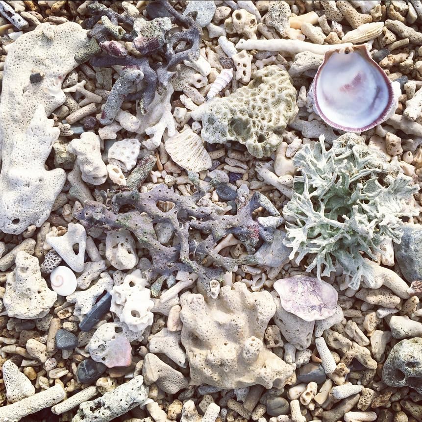 American Biotech Labs pasta colocada en baño con estilo y sensación fresca