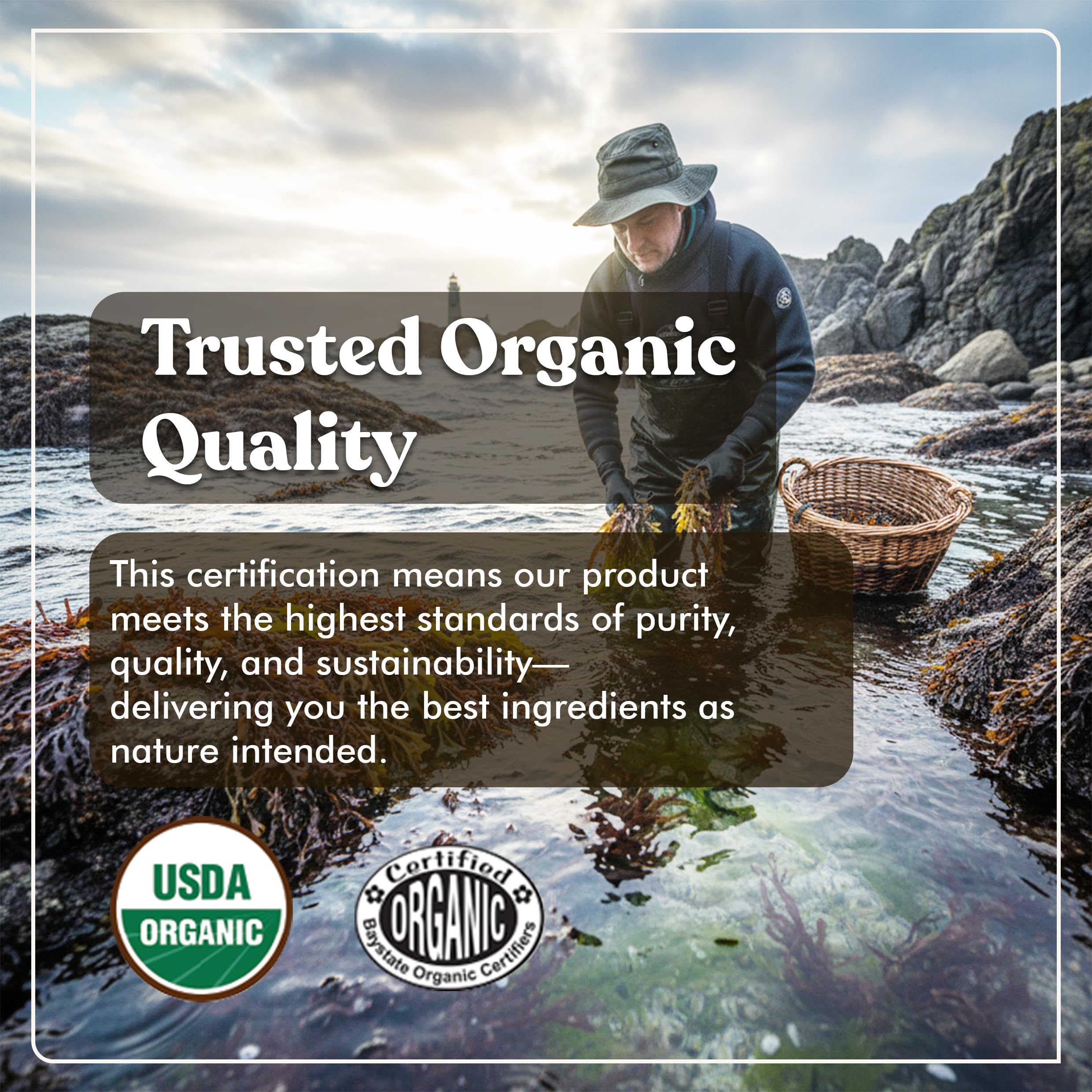 American Standard Supplements detalle de etiqueta orgánica que destaca ingredientes certificados