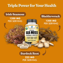 American Standard Supplements textura en polvo de algas mostrando pureza del ingrediente