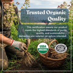 American Standard Supplements cápsulas veganas en primer plano, fácil de tragar