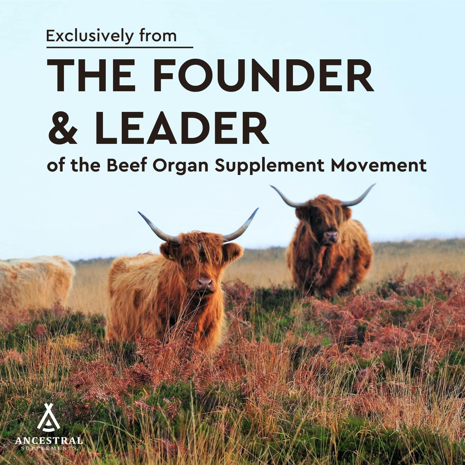 Ancestral Supplements cápsulas en mano mostrando tamaño y dosificación