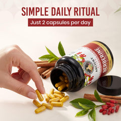 Ancient Bliss ingredientes botánicos dispuestos para destacar origen natural