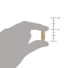 Ancient Nutrition cápsula abierta mostrando polvo interno beneficioso