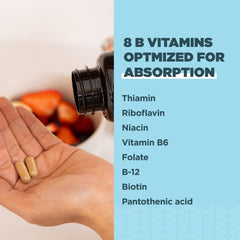 Ancient Nutrition cápsula en mano para apreciar tamaño y dosificación