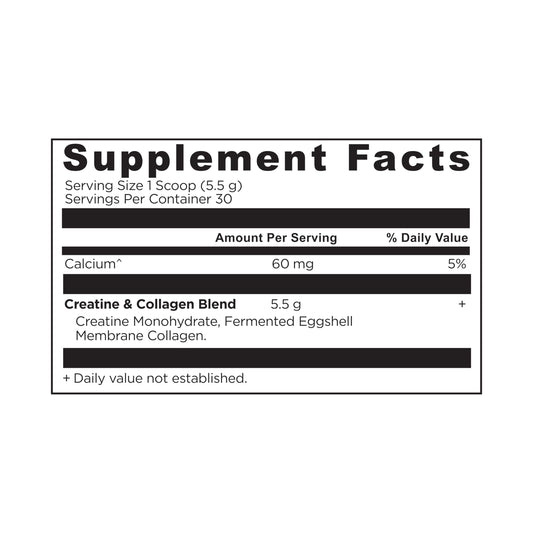 Ancient Nutrition cucharada con polvo que ilustra la dosificación fácil