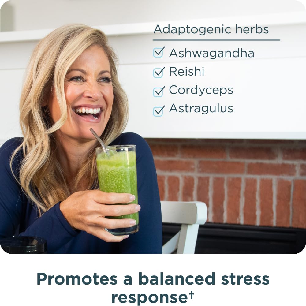 Ancient Nutrition batido preparado, integración en recetas saludables
