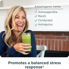 Ancient Nutrition batido preparado, integración en recetas saludables
