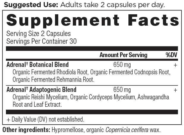Ancient Nutrition etiqueta ampliada con lista de ingredientes y beneficios, información clara para el consumidor