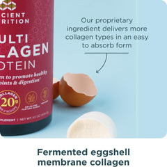 Ancient Nutrition ingredientes variados sobre mesa mostrando origen diverso